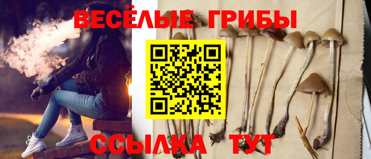 Вязьма  Псилоцибиновые грибы Cubensis  купить закладку  Псилоцибиновые грибы ЛСД  Вход с VPN 
